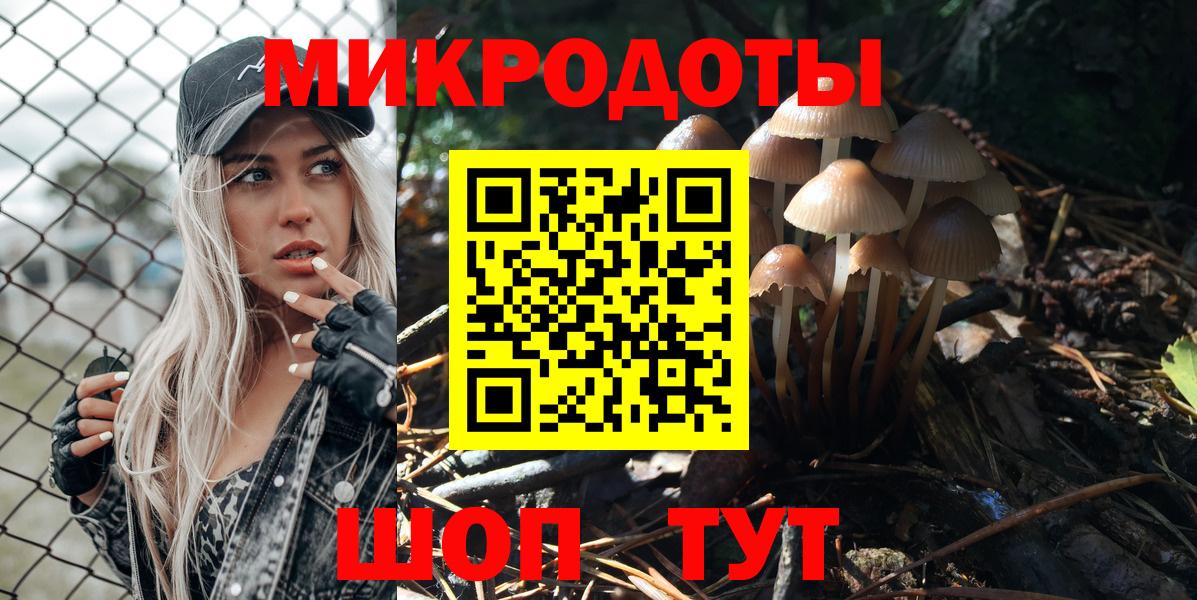 Кохма  Псилоцибиновые грибы Cubensis  Вход с VPN 