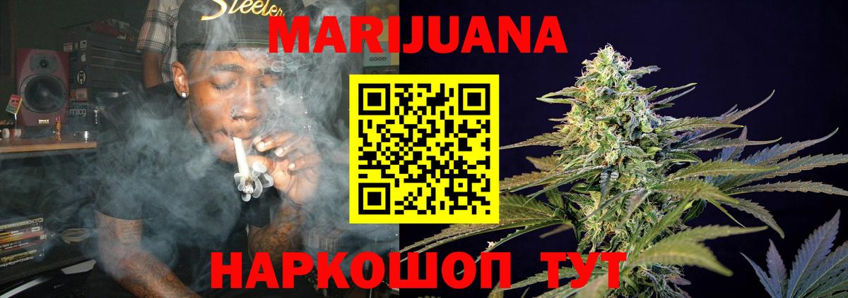 Каннабис SATIVA & INDICA Кохма